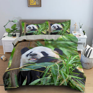 Panda Dreamland