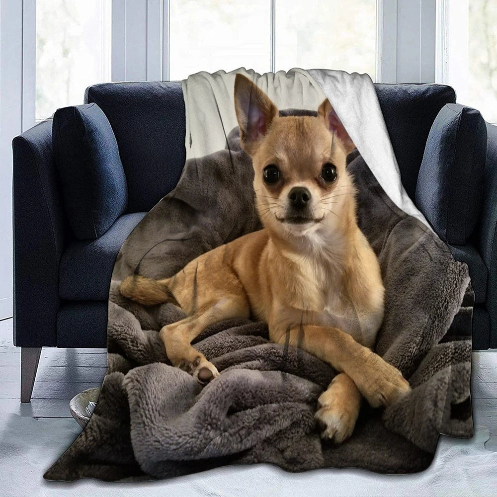 Cute Chihuahua Dog Blanket Warm Plush Throw Bedspread Shawl for Bed Sofa Animal Print Flannel Blankets Fluffy Soft Cozy Thermal